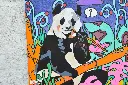 Panda (2)modif.webp