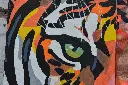 Tiger (4).webp